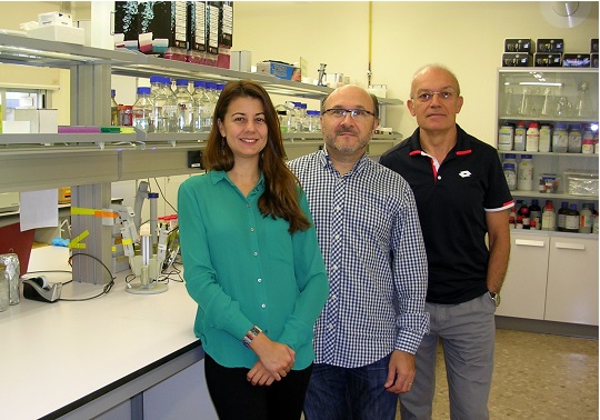 This image shows the three current members of the yeast functional genomics group (GFL) who participated in the study. From left to right: Adriana Mena, José García and José E. Pérez.